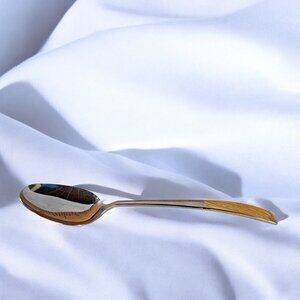 Inoxpran INX1 Serving Spoon 9” Stainless 18/10 Gold Tone Accents
